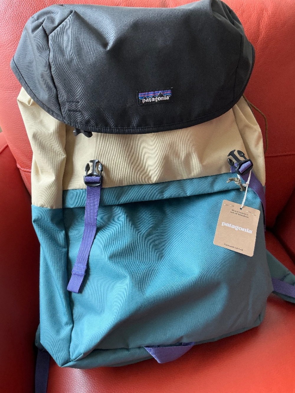 Patagonia Fieldsmith Lid Pack 28L